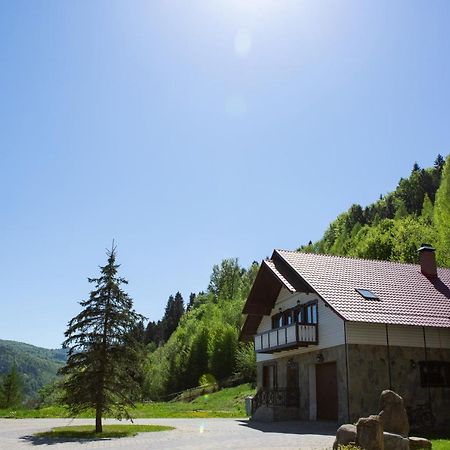 Kamyanka Villa Yaremche Bagian luar foto